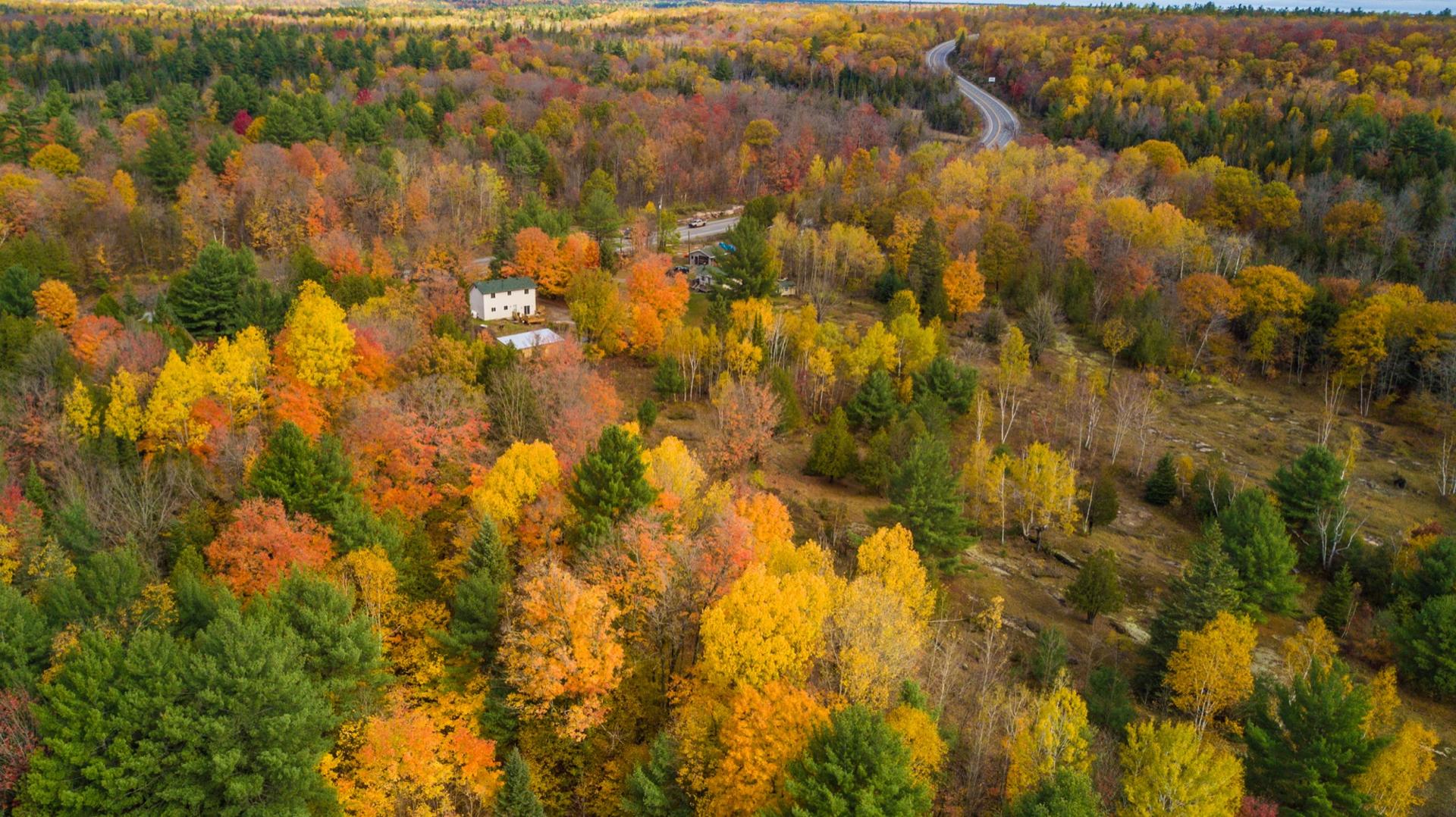Aerial view of a white farmhouse and outbuilding among orange and yellow autumn trees