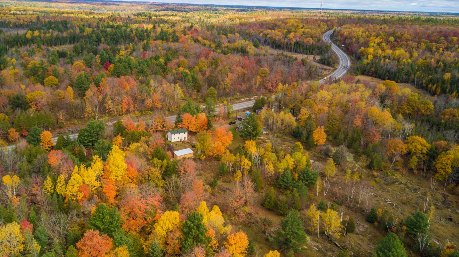 Aerial view of a rural property surrounded by hardwood forest in full autumn colour beside a country highway