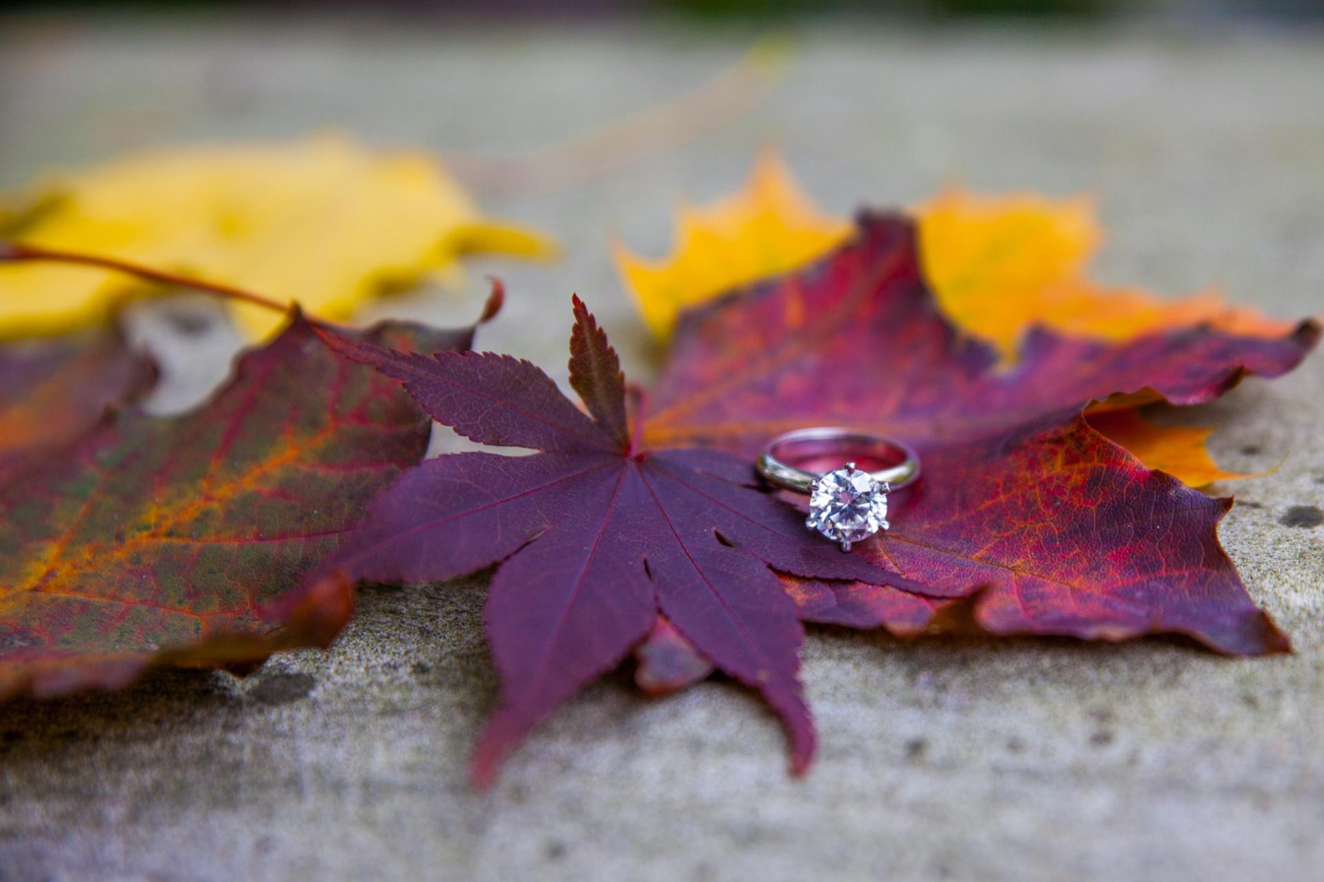 Solitaire engagement ring resting on red and yellow maple leaves on a stone step