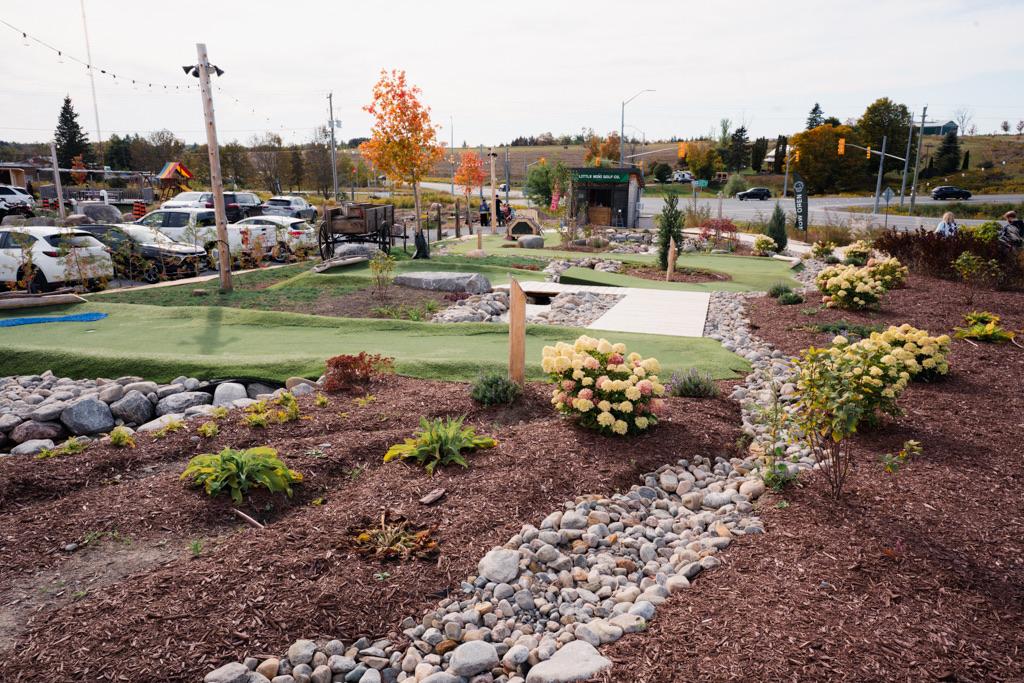 Wide view of the mini golf course in autumn, greens winding between plantings and stone